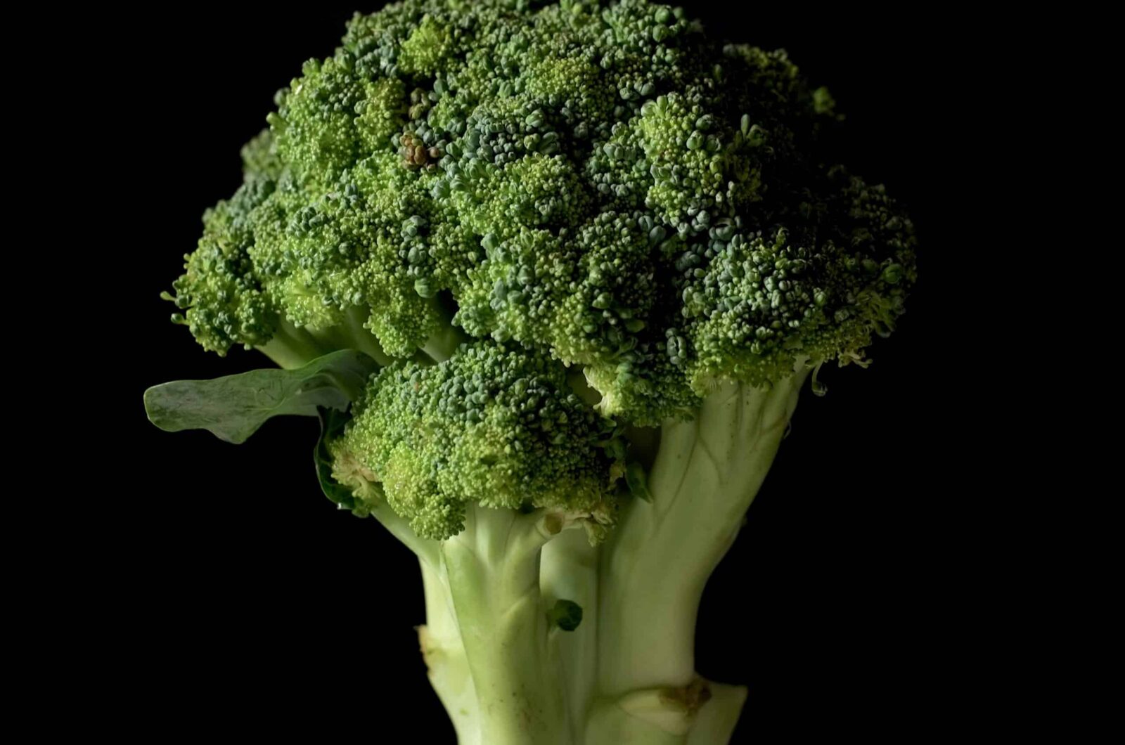 Mac & Cheese met Broccoli