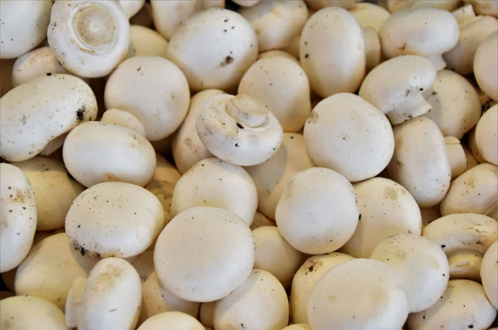 Champignons met knoflook en peterselie